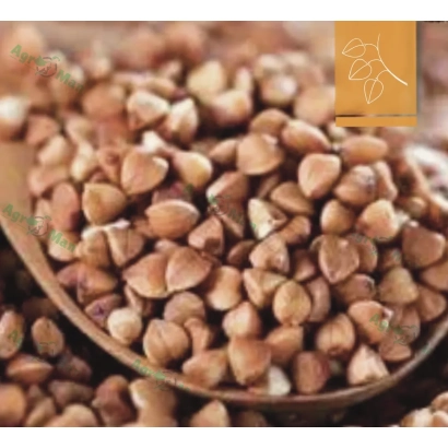 Гречка в деревянной ложке - Украинка