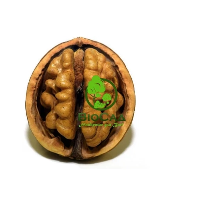 Разрезанный грецкий орех с зелёным логотипом BIO на белом фоне - Рудковский