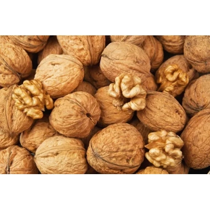 Грецкие орехи на фоне - Скиноский