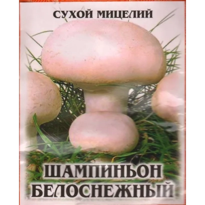 Сухой мицелий шампиньон белоснежный на фоне травы