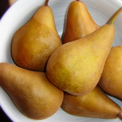 Груши Bere Bosk в белой миске - Бере Боск