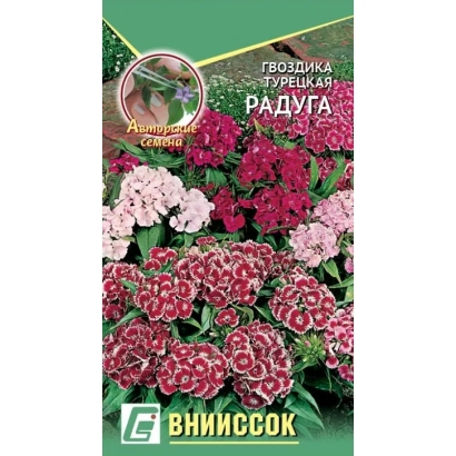 Seed packet of Dianthus raduga with flower illustration - RAINFLOW