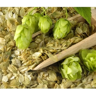 Свежие хмелевые шишки и сушеные листья хмеля на деревянной лопатке - Альта