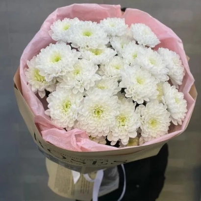 Букет белых хризантем в розовой упаковке - МАЦЕСТА