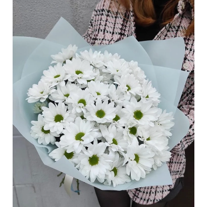 Букет белых хризантем в голубой упаковке - НЕЖНАЯ МУЗА