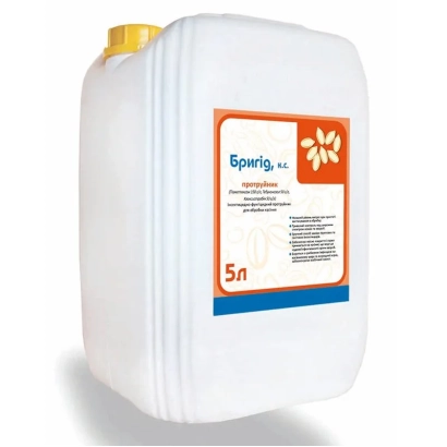 Белая канистра с этикеткой Sparig объёмом 5 л - Бригид