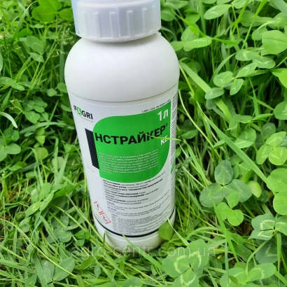 Bottle of insecticide Instriker on green grass