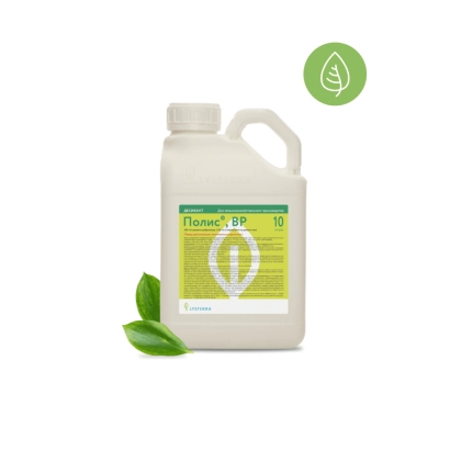 White jug with label Pait and green leaves