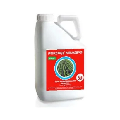 White jug with red label featuring a green circular texture and the text RECORD QUADRO.