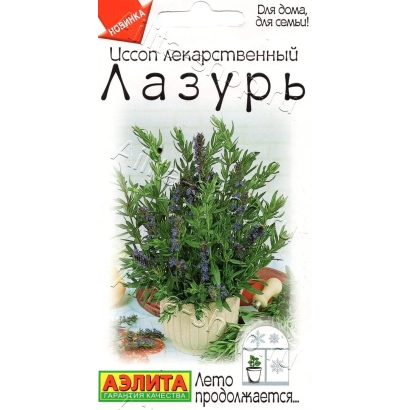 Lapis Lazuli Hyssop seed packet