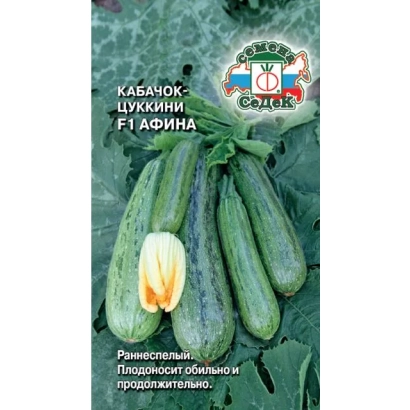 Семена кабачка Афина на зеленом фоне