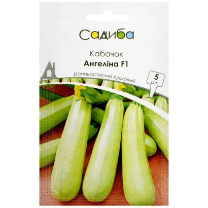 Пакет семян кабачка Ангелина F1
