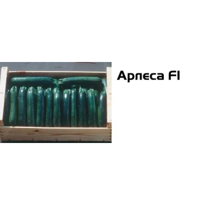 Упаковка кабачка Арнеча F1 - Арлеса F1