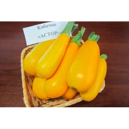 Желтые кабачки сорта Астор в плетеной корзине