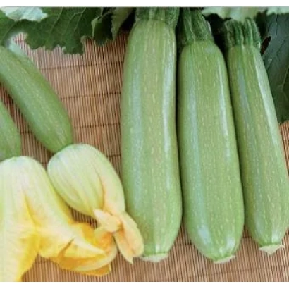 Зеленые кабачки с цветками на бамбуковой подложке - Билли F1