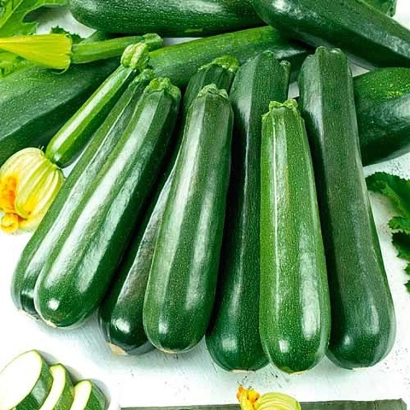 Свежие кабачки Бриллиант на белом фоне