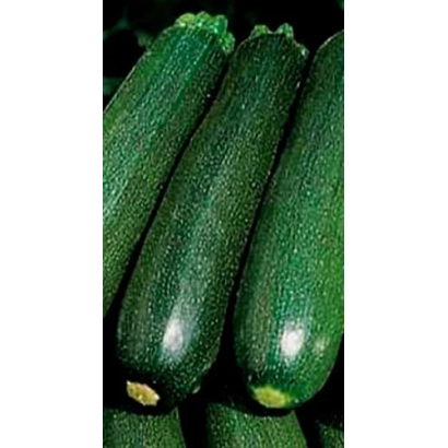 Цукеша кабачки на темному фоні