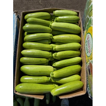 Коробка кабачков на деревянном поддоне - Денди