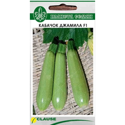 Семена кабачка ДЖАМИЛА F1 на упаковке