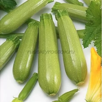 Зелені кабачки на білому фоні з квітом та листям - Фурор