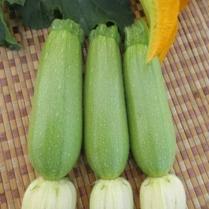 Три зеленых кабачка на плетеной подложке с листьями и цветком. - ИНХ 1400