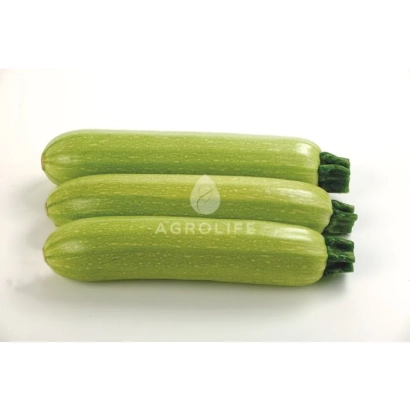 Три зеленых кабачка на белом фоне с логотипом AGROLIFE - Исмалиа