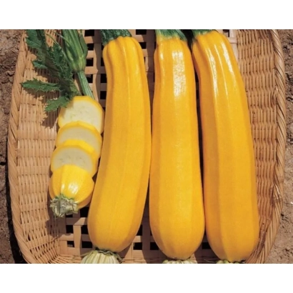 Желтые кабачки в плетеной корзине - КЕНАР