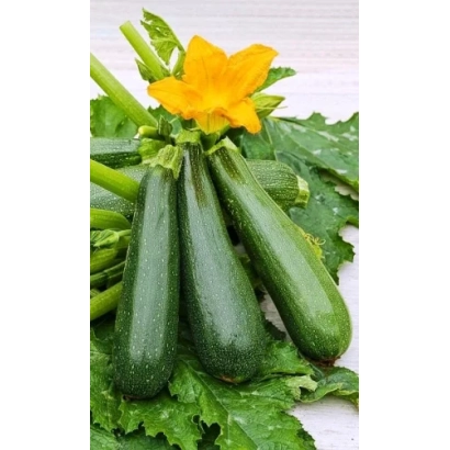 Три кабачки з квітом та листям на білому фоні - КОСМОНАВТ