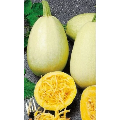 Кабачок МАКАРЕНА | Macarena — целые и нарезанные плоды с семенами