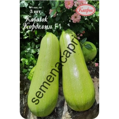 Seed packet of zucchini Slonенок F1 - SLONENOK