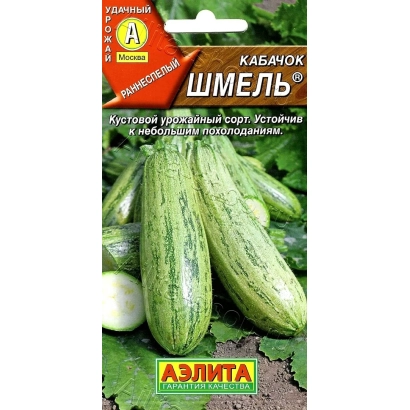 Семенной пакет сорта кабачок Шмель с изображением зеленых плодов