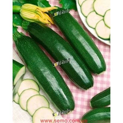 Fresh zucchini with sliced pieces and a flower in the background - STARTGREEN F1