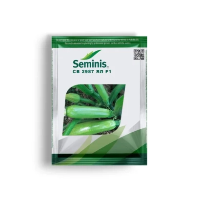 Пакет насіння кабачка СВ 2987 YL від Seminis - СВ2987ЯЛ