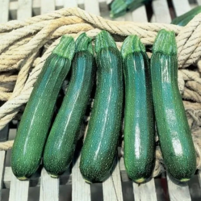 Свіжі кабачки сорту Таміно F1 на дерев'яній підложці з мотузкою на задньому плані