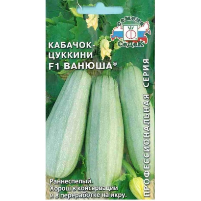 Семена кабачка цуккини F1 Ванюша на зеленом фоне