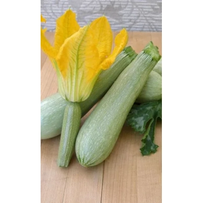 Кабачок с цветком на деревянной поверхности - ЗАРА