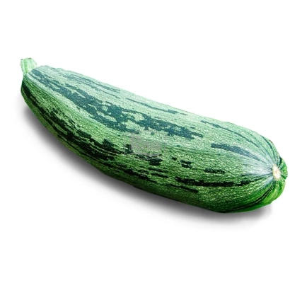 Кабачок ЗЕБРА на белом фоне