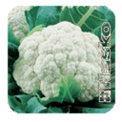 Семена капусты Акварель на упаковке