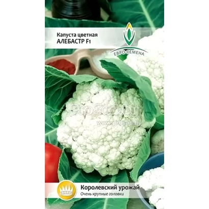 Семенной пакет капусты цветной АЛЕБАСТР с изображением соцветий