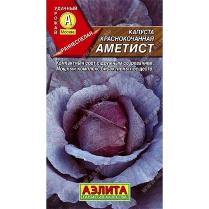 Пакет семян капусты Аметист