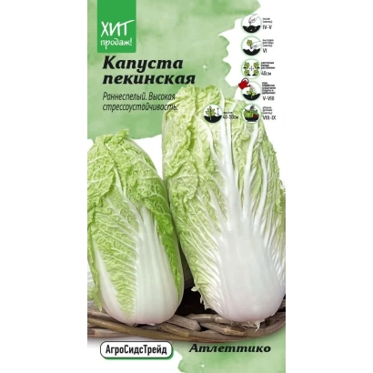 Пакет семян капусты пекинской Атлеттико