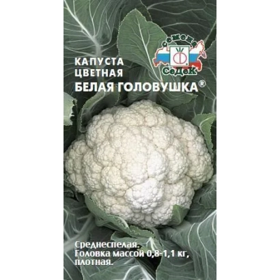 Семена капусты Белая Головушка на зеленом фоне