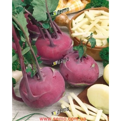 Кочаны капусты сорта BLANKYT на деревянной доске - БЛАНКИТ