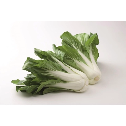 Fresh bok choy on white background - BOPAK