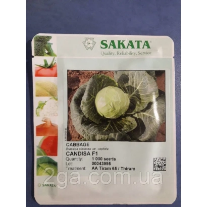 Пакет семян капусты CANDISA F1 от SAKATA - Кандиша