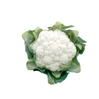 White cabbage on white background - Dexter F1