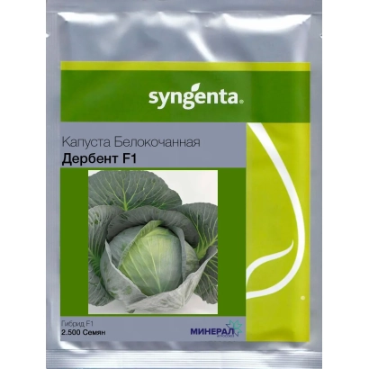 Syngenta cabbage seed packet labeled Derbent F1