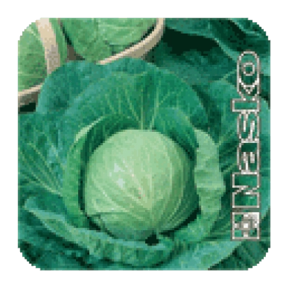 Семена капусты Экспресс F1 на зеленом фоне