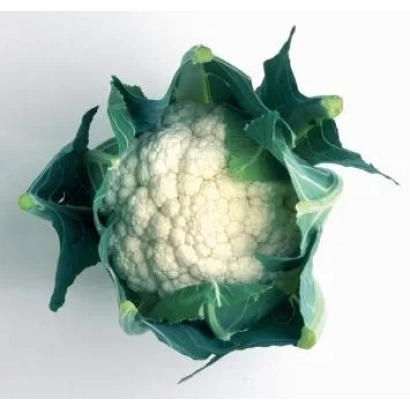 Белокочанная капуста на белом фоне - Фарадей