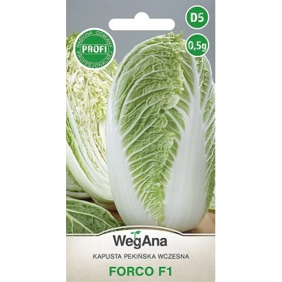 Семена капусты FORCO F1 от WegaAна - Форко
